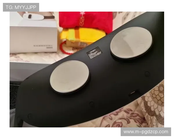 PG游戏机官网最新版本下载与安全保障指南，帮助玩家轻松畅玩无忧